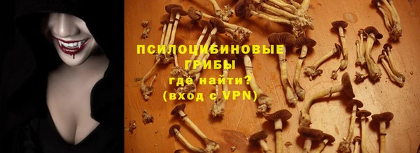 крисы Новозыбков