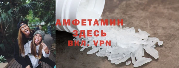 крисы Новозыбков
