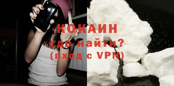 крисы Новозыбков