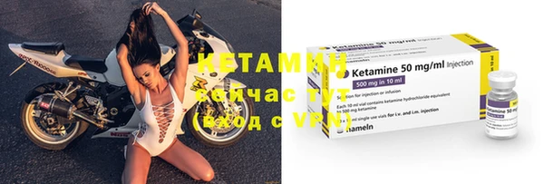 крисы Новозыбков