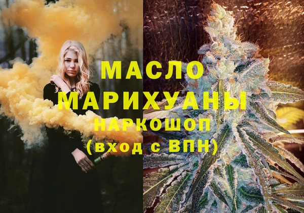 крисы Новозыбков