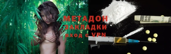 крисы Новозыбков