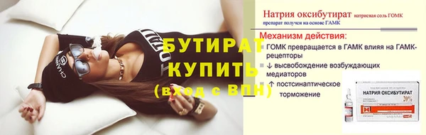 крисы Новозыбков