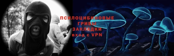крисы Новозыбков