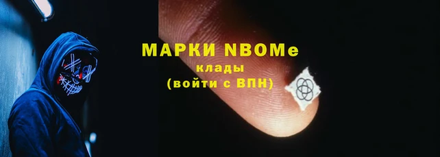 крисы Новозыбков