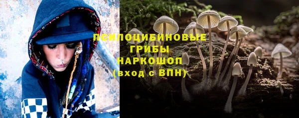 крисы Новозыбков