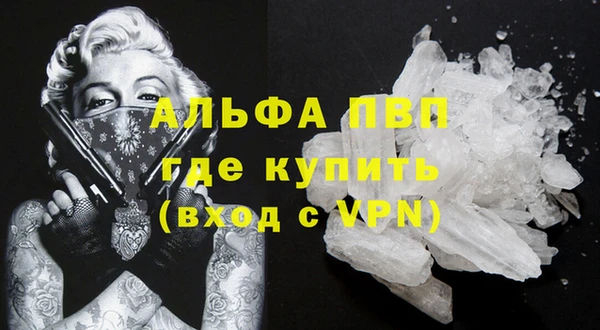 крисы Новозыбков