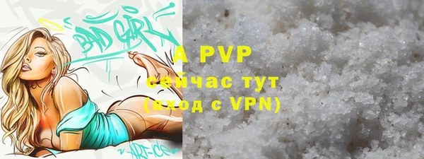 крисы Новозыбков