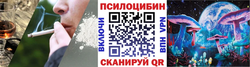 наркошоп  Борзя  kraken рабочий сайт  Галлюциногенные грибы Psilocybe 