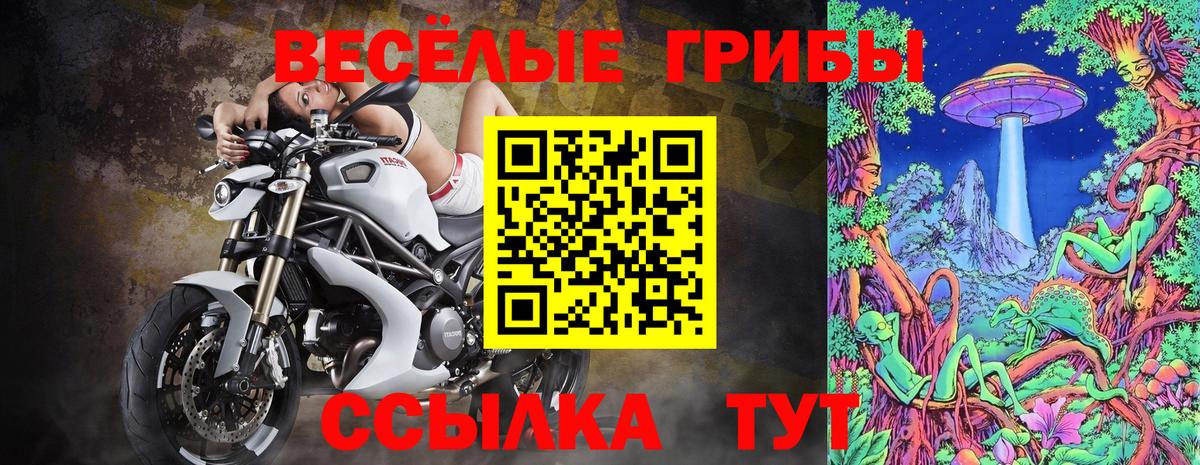 Псилоцибиновые грибы мицелий  Борзя 