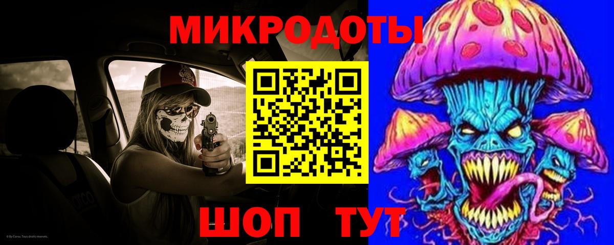 Псилоцибиновые грибы Cubensis Борзя